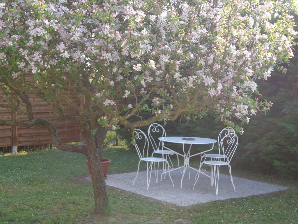 La Grille Doree Amboise Exteriér fotografie